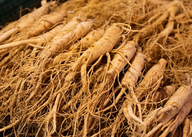 خواص جینسینگ برای سلامتی