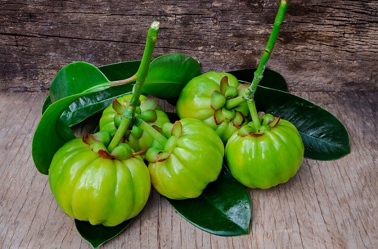 آیا گارسینیا کامبوجیا مفید است؟