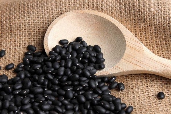 هر آنچه باید در مورد لوبیا سیاه بدانید