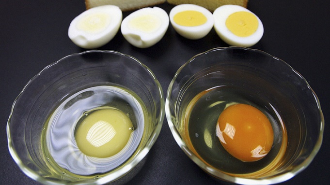 همه آنچه باید در مورد زرده تخم مرغ بدانید