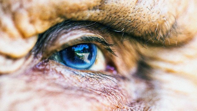 آب مروارید و دیابت: یک راهنما